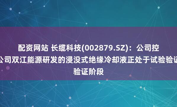 配资网站 长缆科技(002879.SZ)：公司控股子公司双江能源研发的浸没式绝缘冷却液正处于试验验证阶段